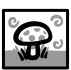 Plant Mushroom