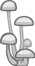Mushroom Shelf