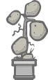 Potted Potato