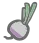 Radish